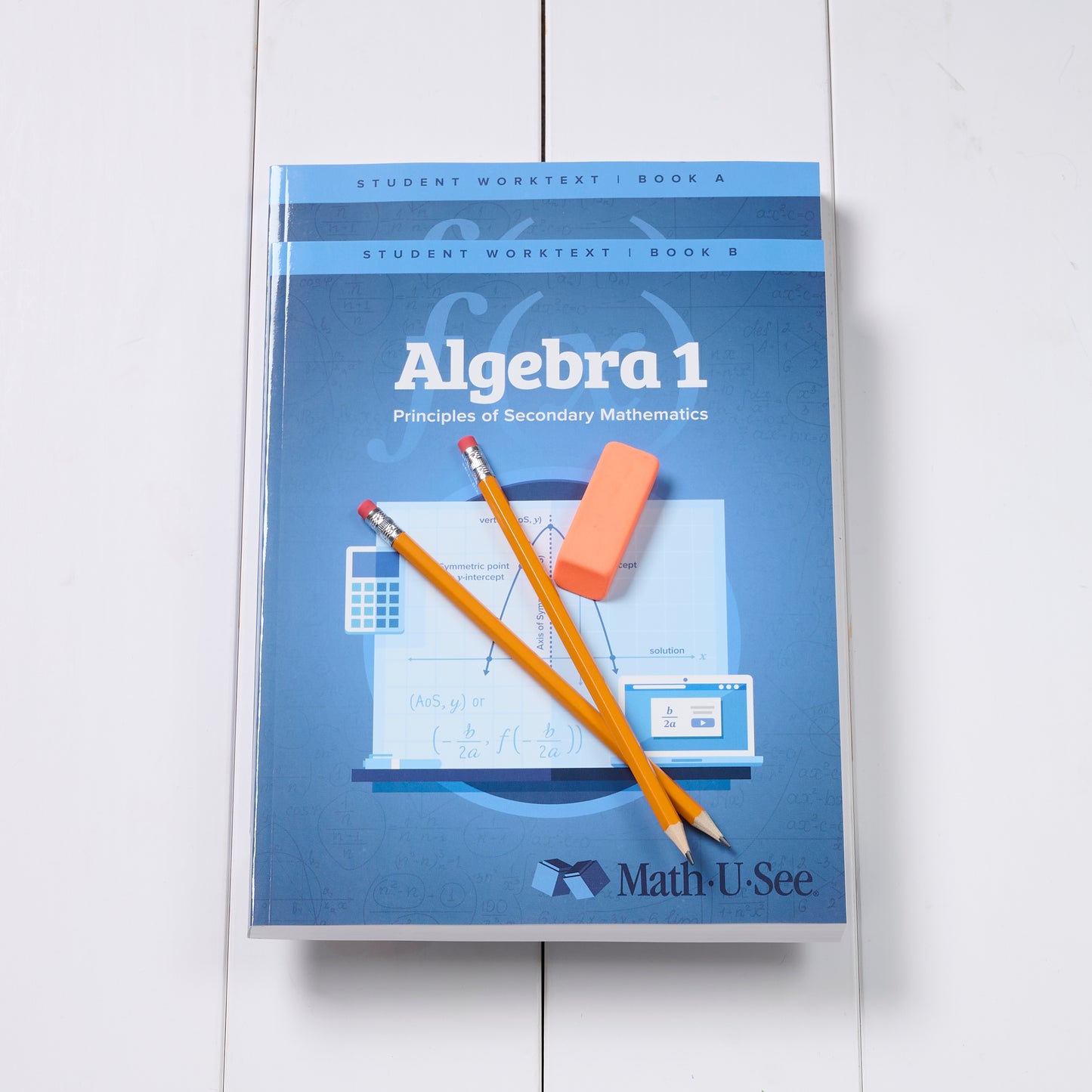Algebra 1: Principles of Secondary Mathematics Student Worktexts and Tests
