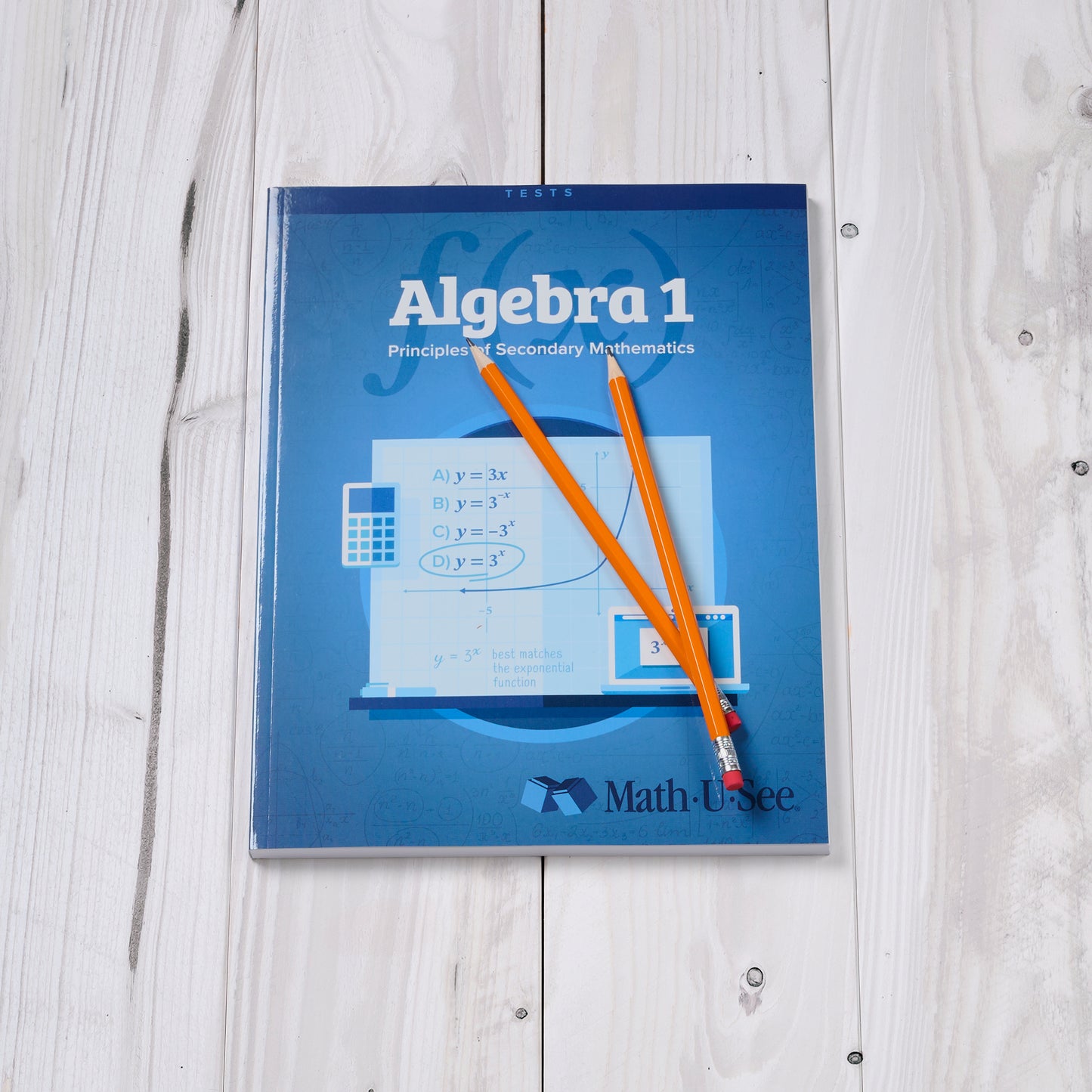 Algebra 1: Principles of Secondary Mathematics Student Worktexts and Tests