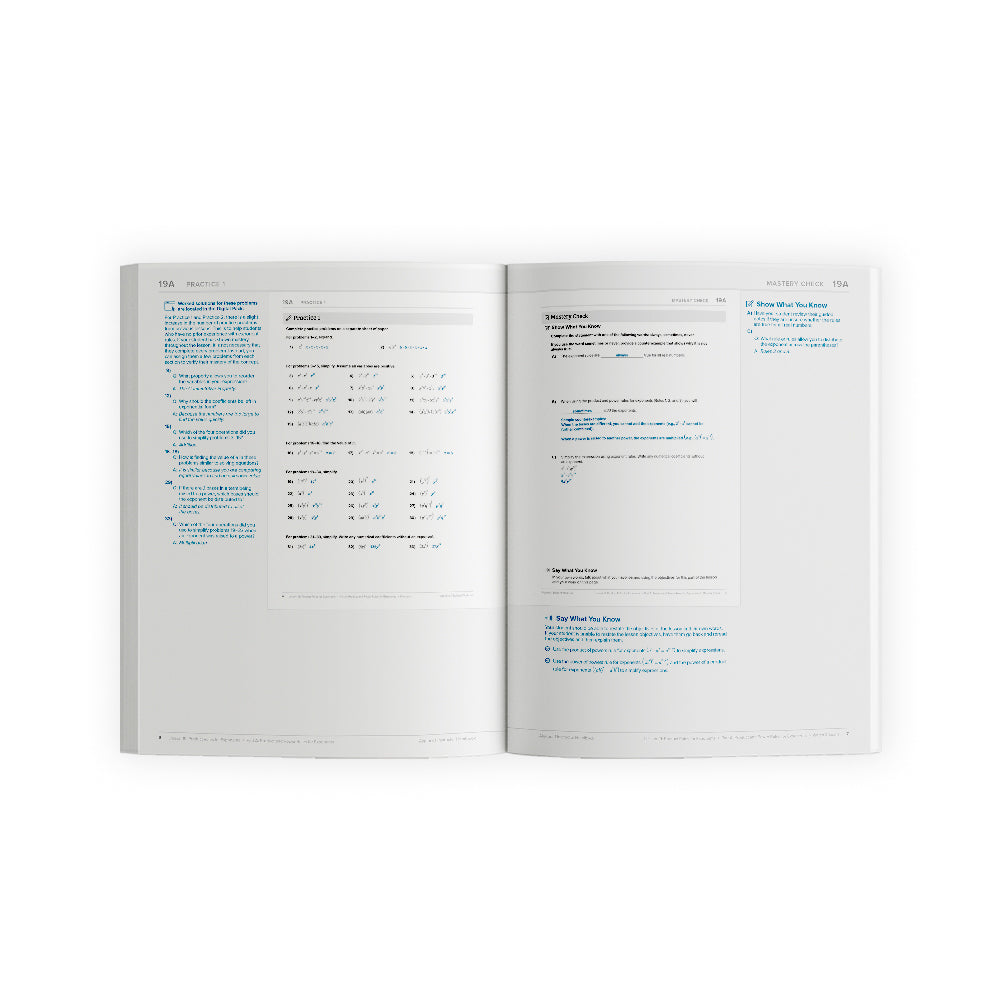 Algebra 1: Principles of Secondary Mathematics Instructor Handbooks