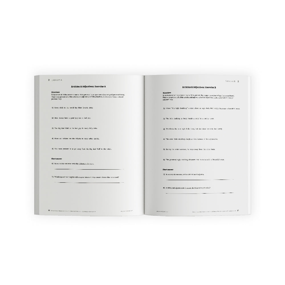 Analytical Grammar Level 1: Grammar Basics Set