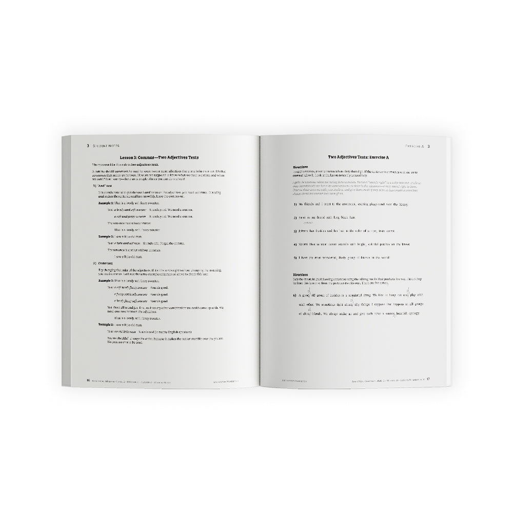Analytical Grammar Level 2: Mechanics Set