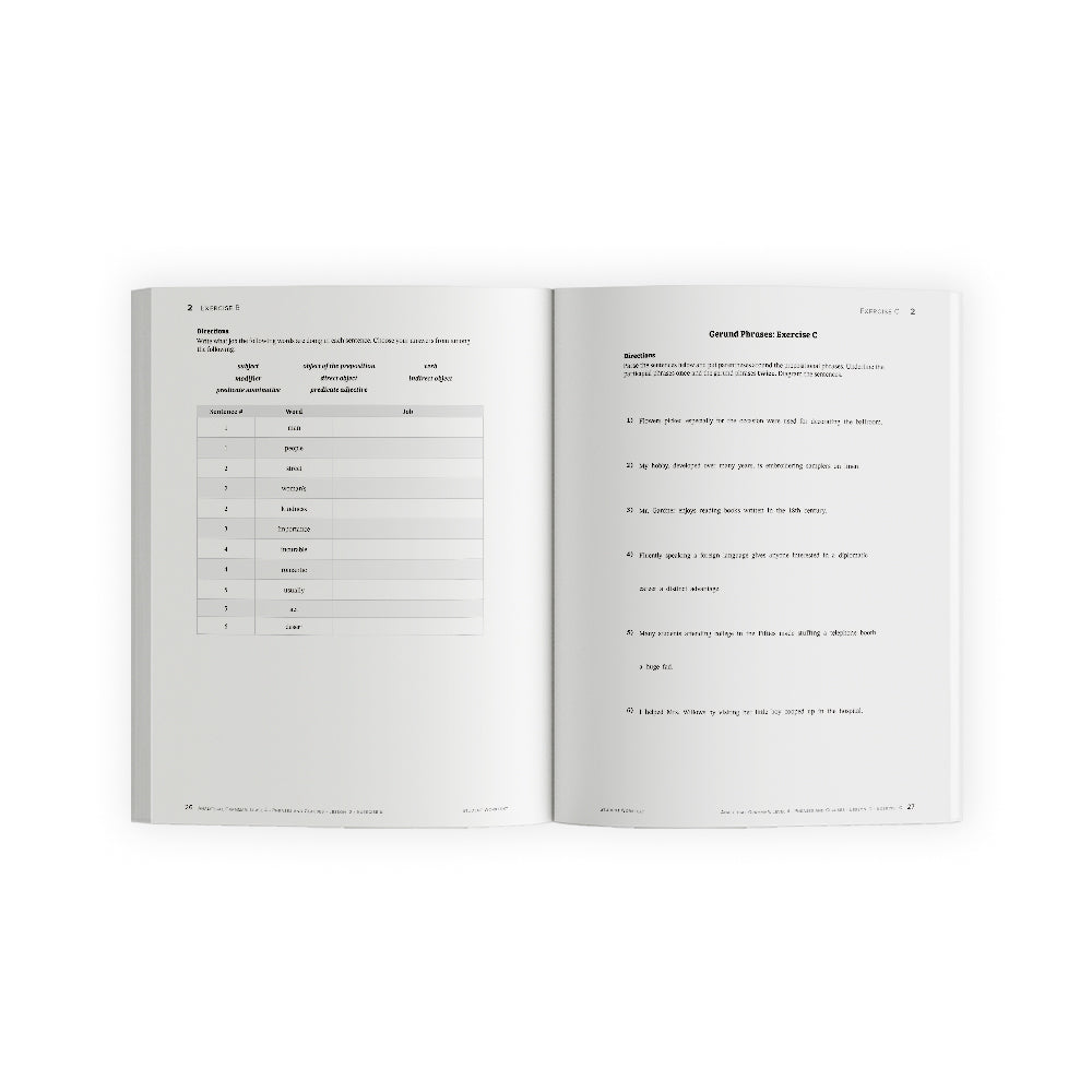 Analytical Grammar Level 4: Phrases and Clauses Set