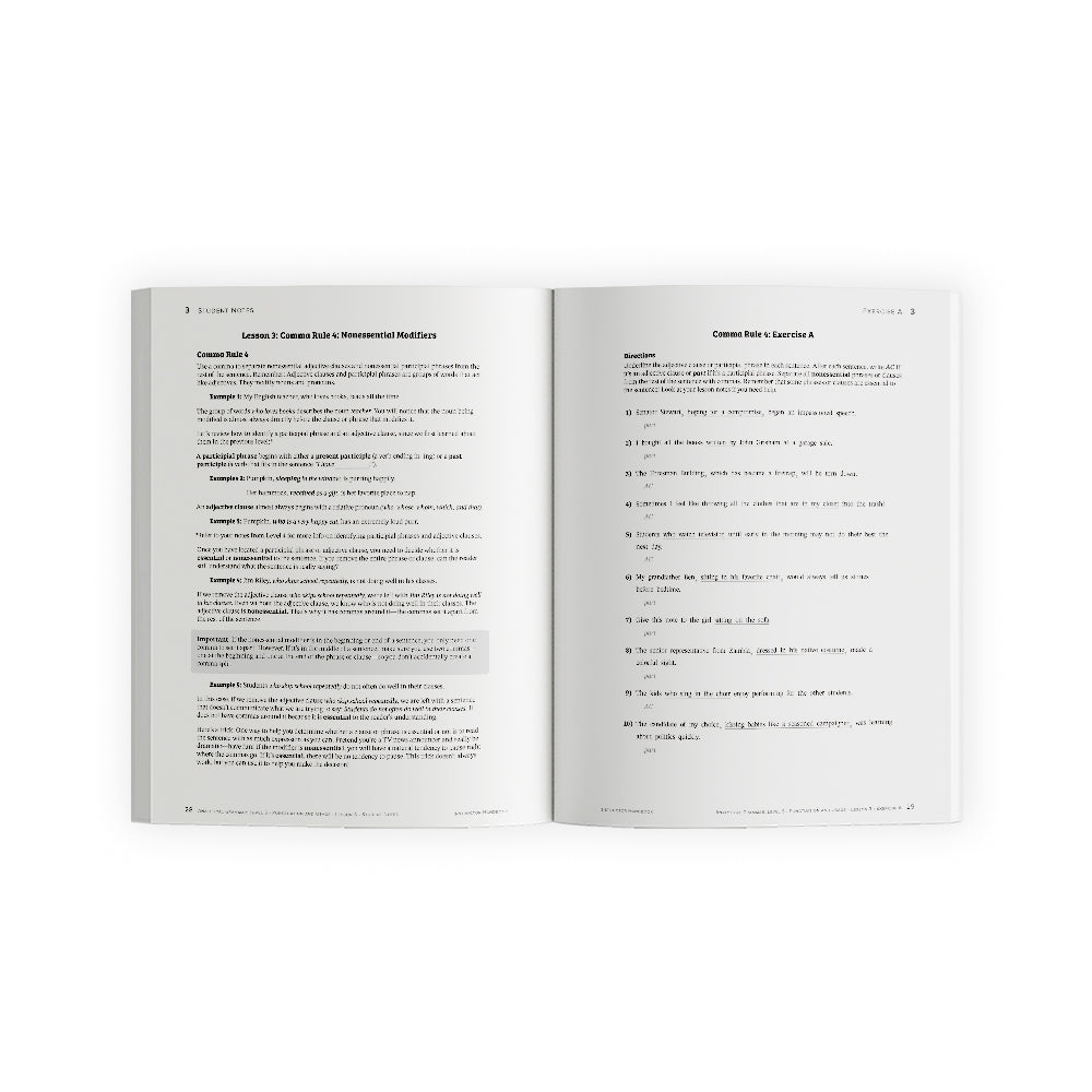 Analytical Grammar Level 5: Punctuation and Usage Set