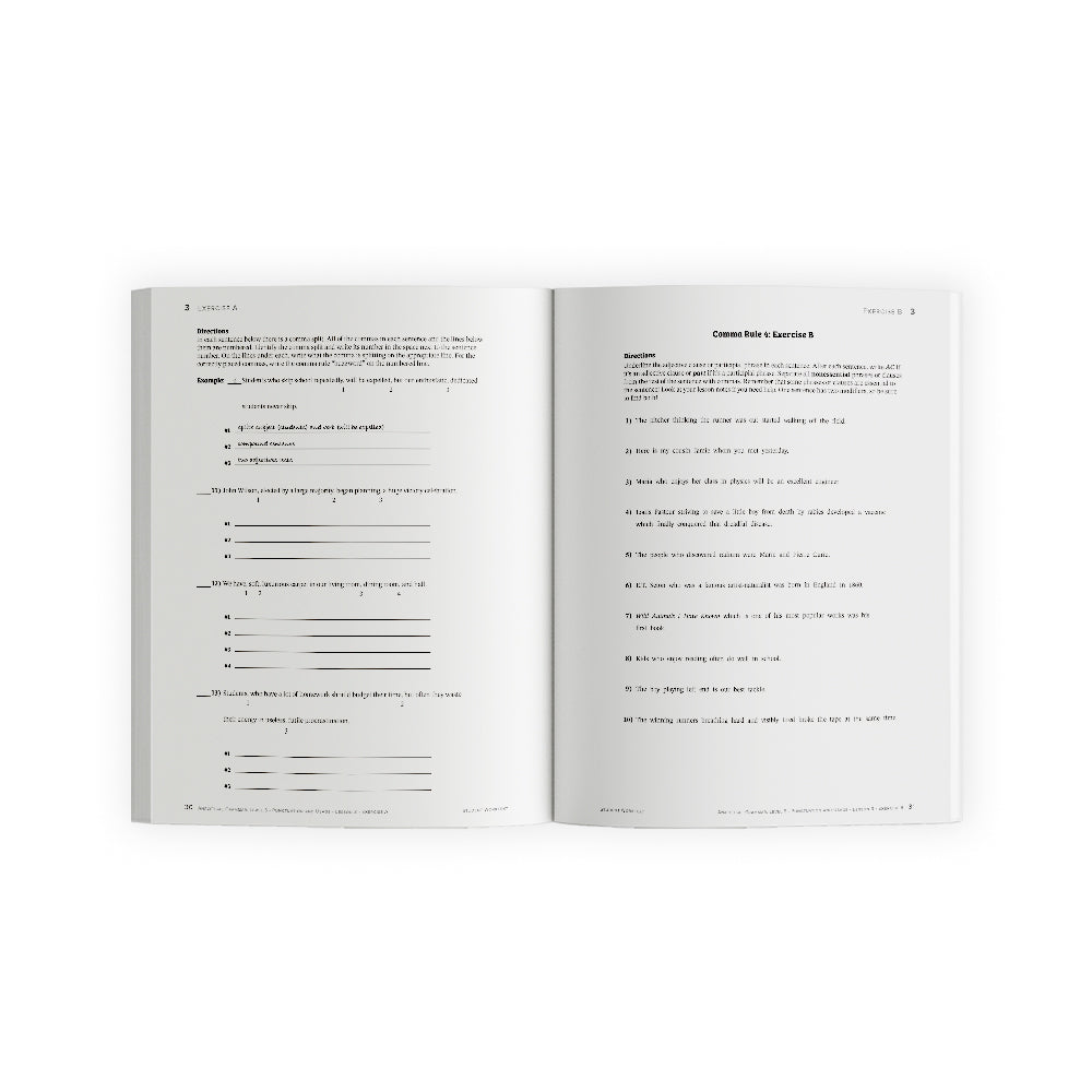 Analytical Grammar Level 5: Punctuation and Usage Set