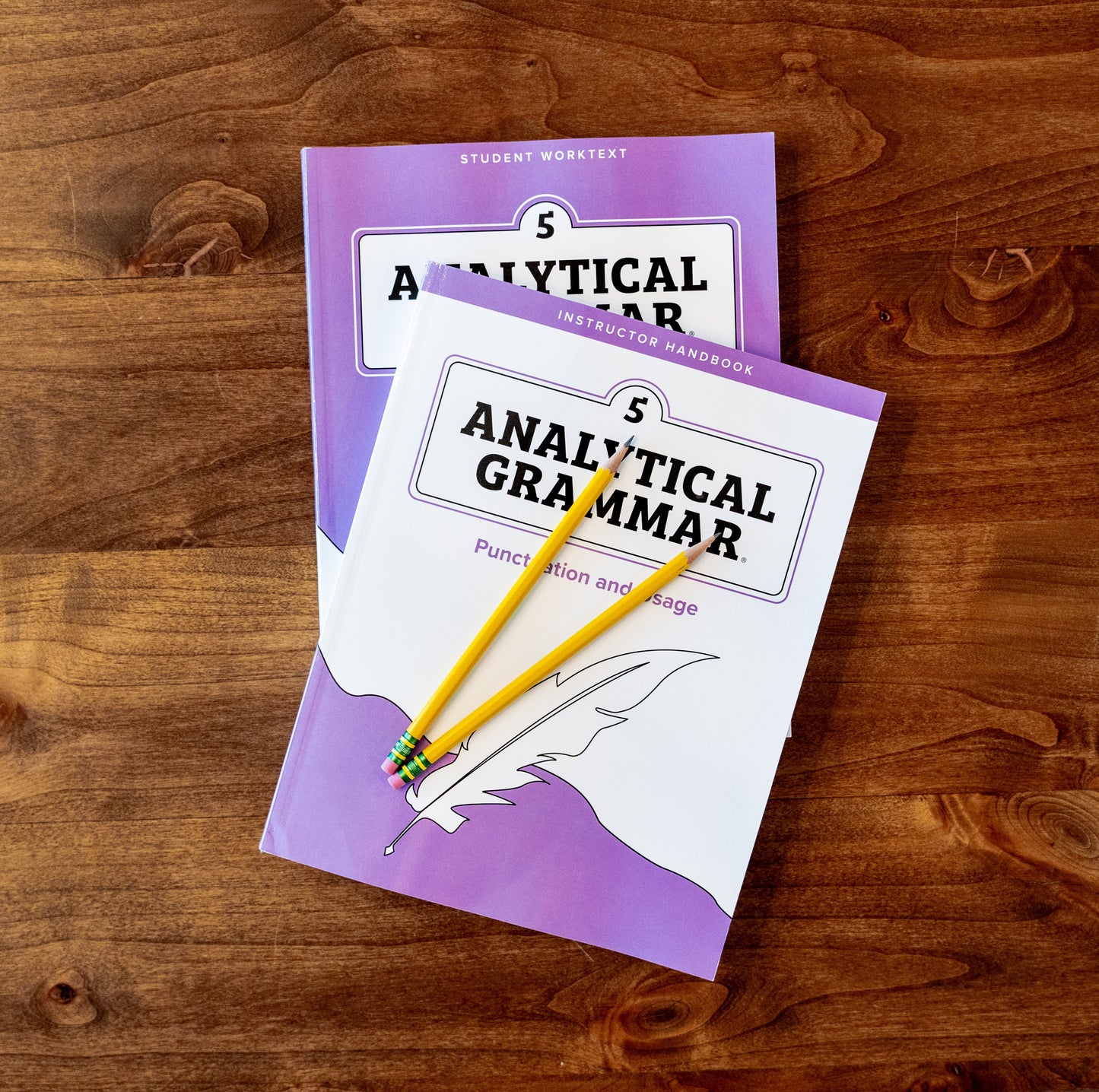 Analytical Grammar Level 5: Punctuation and Usage Set