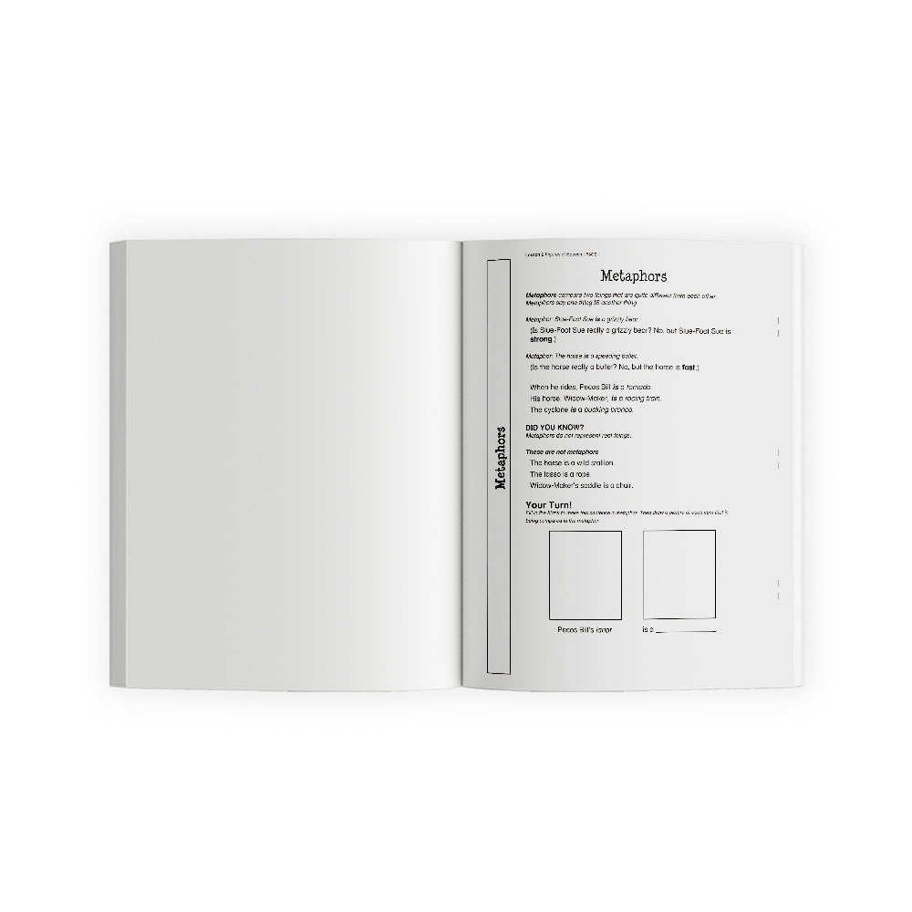 WriteShop Junior Book F Student Workbooks