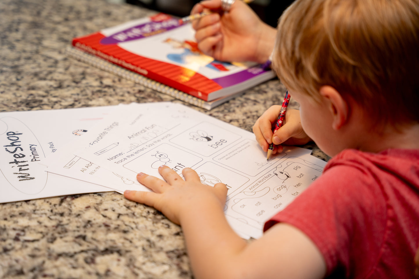 WriteShop Primary Book A Activity Pack
