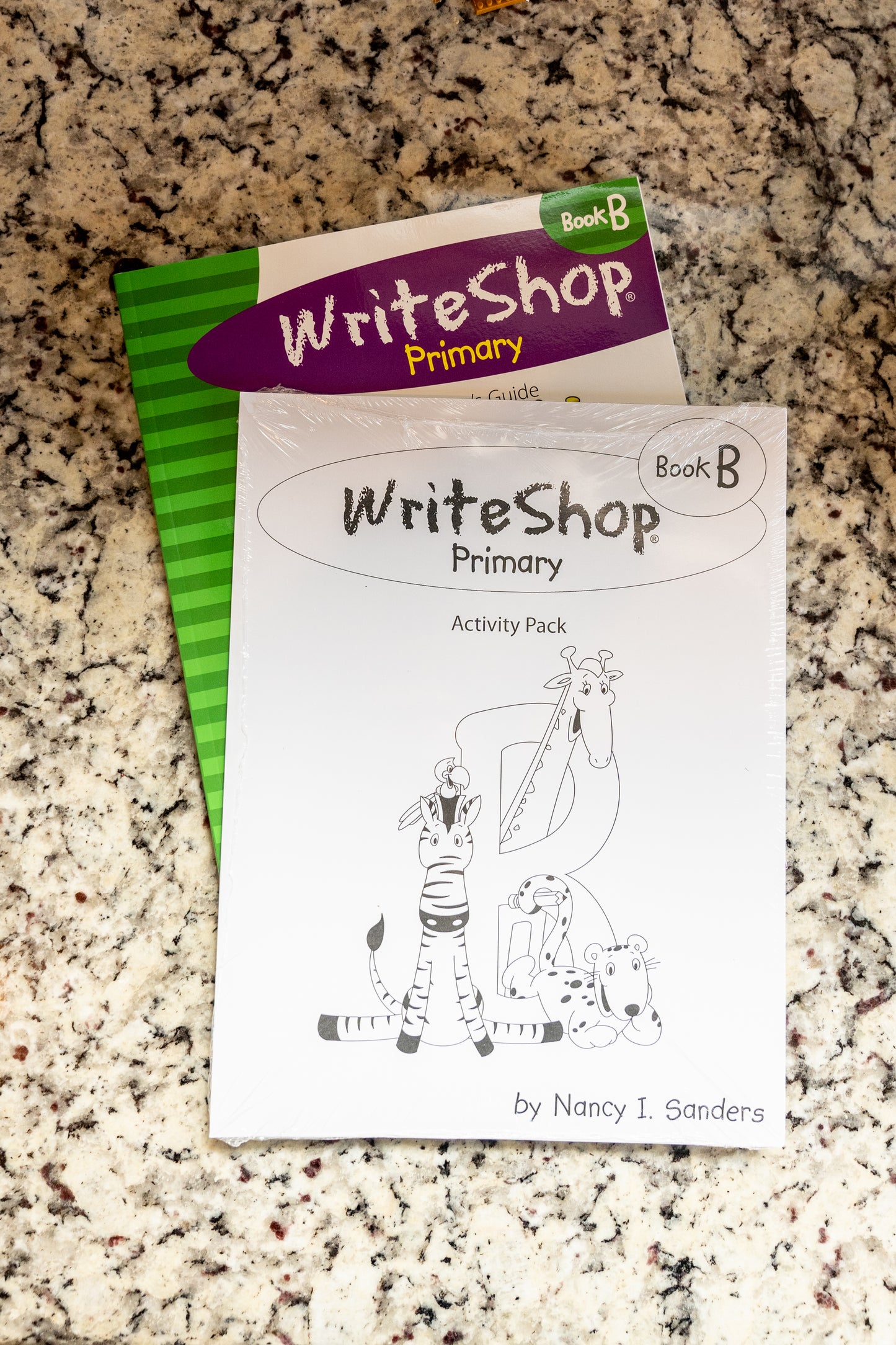 WriteShop Primary Book B Set